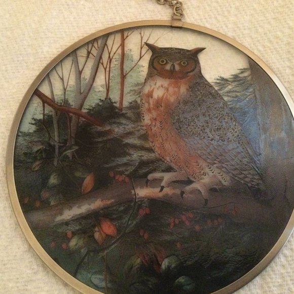 glass Owl hanging suncatcher round 16cm diameter - Picture 5 of 8